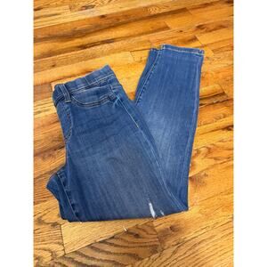 Judy Blue Dark Wash Jeggings